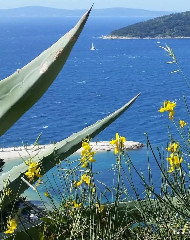 Apartments Slavica Trogir Ngoại thất bức ảnh